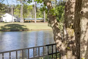 168 Crepe Myrtle Ln, Hardeeville, SC 29927 - Photo 39