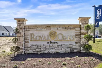 193 Crown Street, Hardeeville, SC 29927 - Photo 25