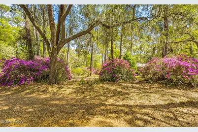 64 Dulamo Bluff, Saint Helena Island, SC 29920 - Photo 63