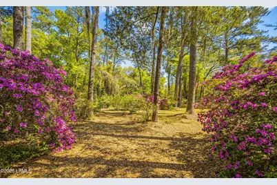 64 Dulamo Bluff, Saint Helena Island, SC 29920 - Photo 45