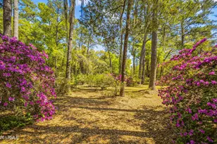 64 Dulamo Bluff, Saint Helena Island, SC 29920 - Photo 45