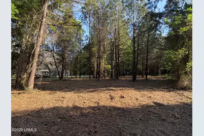 41 Pearl Harbor Lane, Saint Helena Island, SC 29920 - Photo 3