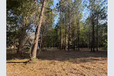 41 Pearl Harbor Lane, Saint Helena Island, SC 29920 - Photo 5