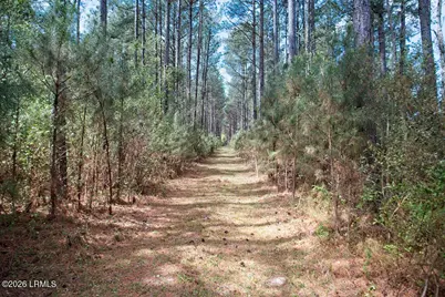 1342 Thomas Hamilton Road, Brunson, SC 29911 - Photo 45