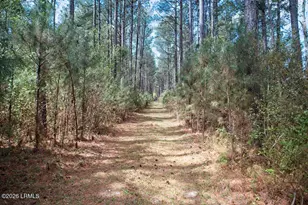 1342 Thomas Hamilton Rd, Brunson, SC 29911 - Photo 45