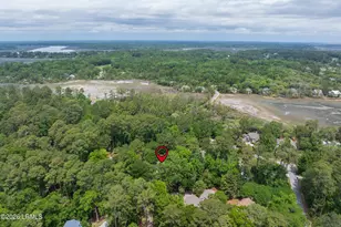 5 Oyster Ct, Okatie, SC 29909 - Photo 59