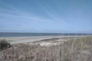 170 Harbor Dr N, Harbor Island, SC 29920 - Photo 63