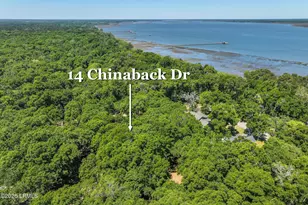 14 Chinaback Dr, Beaufort, SC 29907 - Photo 37