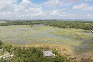 10 Woodstork Landing, Okatie, SC 29909 - Photo 73