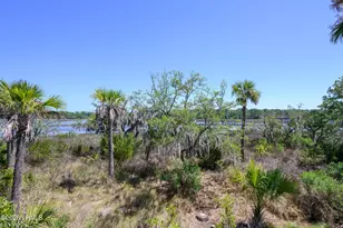 10 Woodstork Landing, Okatie, SC 29909 - Photo 81