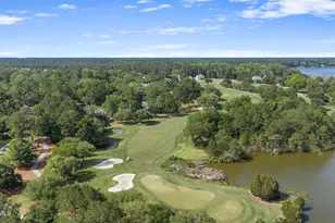 17 Blue Dasher Ln, Bluffton, SC 29909 - Photo 57