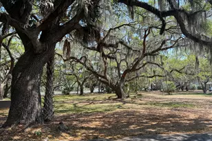 23 Colony Gardens Rd, Beaufort, SC 29907 - Photo 51