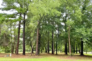695 Distant Is Dr, Beaufort, SC 29907 - Photo 27