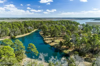 695 Distant Island Drive, Beaufort, SC 29907 - Photo 41