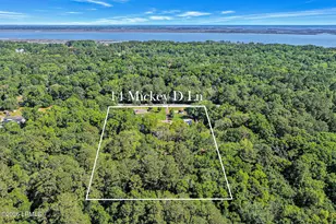 14 Mickey D Ln, Beaufort, SC 29907 - Photo 77