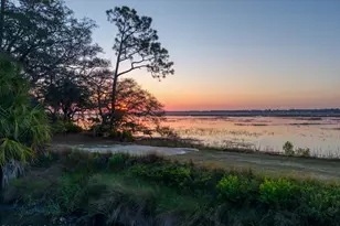 194 Spring Island Dr, Okatie, SC 29909 - Photo 59