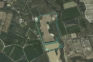 [Address not provided], Brunson, SC 29911 - Photo 1
