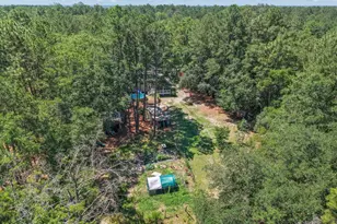 457 Ridgecut Rd, Early Branch, SC 29916 - Photo 55