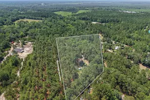 457 Ridgecut Rd, Early Branch, SC 29916 - Photo 3