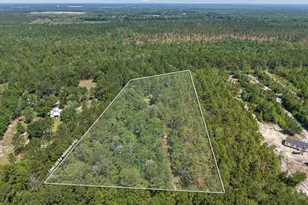 457 Ridgecut Rd, Early Branch, SC 29916 - Photo 57