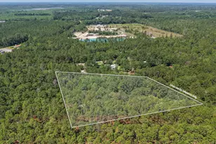457 Ridgecut Rd, Early Branch, SC 29916 - Photo 9