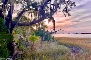 59 Hinson White Dr, Daufuskie Island, SC 29915 - Photo 21
