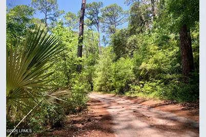 59 Hinson White Drive, Daufuskie Island, SC 29915 - Photo 19