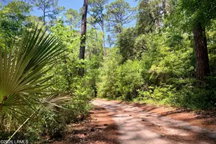 59 Hinson White Dr, Daufuskie Island, SC 29915 - Photo 19