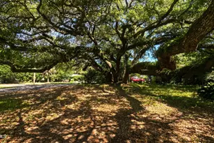 1505 Palmetto Dr, Beaufort, SC 29902 - Photo 27