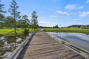26 Whitebark Ln, Bluffton, SC 29909 - Photo 41