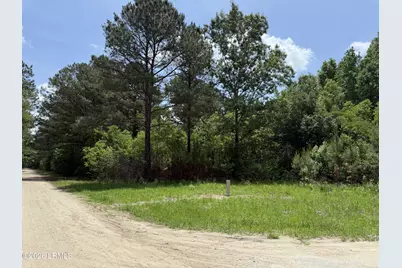 12 Rubie Lane, Yemassee, SC 29945 - Photo 5
