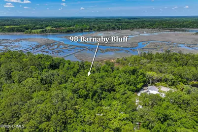 98 Barnaby Bluff, Seabrook, SC 29940 - Photo 3