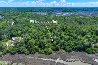 98 Barnaby Bluff, Seabrook, SC 29940 - Photo 7