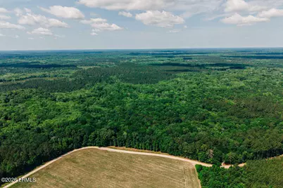 1 Parnel Road, Cope, SC 29038 - Photo 1