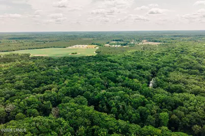 0 Parnel Road, Cope, SC 29038 - Photo 3
