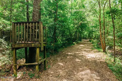 0 Parnel Road, Cope, SC 29038 - Photo 11
