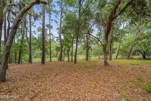 6 Cordgrass Loop, Beaufort, SC 29907 - Photo 29