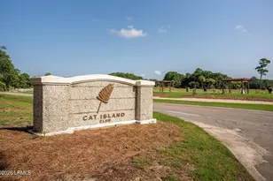 6 Cordgrass Loop, Beaufort, SC 29907 - Photo 49