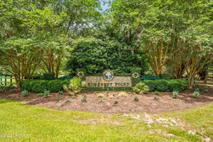 45 Gadwall Dr W, Beaufort, SC 29907 - Photo 61