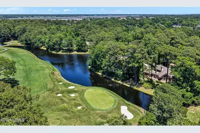 6 Davant Court, Hilton Head, SC 29928 - Photo 57