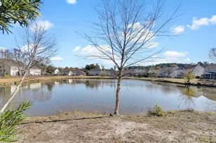 25 Pennyroyal Way, Beaufort, SC 29906 - Photo 49