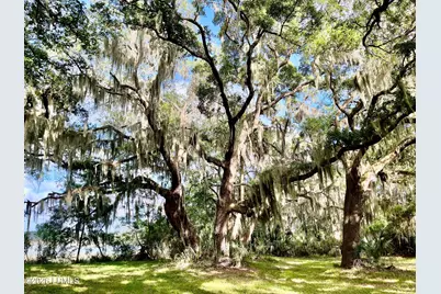 Tbd Mattis Drive, Saint Helena Island, SC 29920 - Photo 11