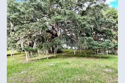 Tbd Mattis Drive, Saint Helena Island, SC 29920 - Photo 7