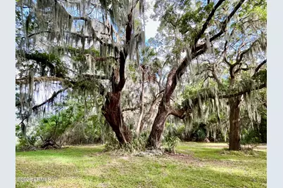 Tbd Mattis Drive, Saint Helena Island, SC 29920 - Photo 3