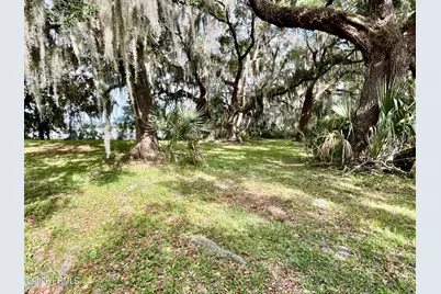 Tbd Mattis Drive, Saint Helena Island, SC 29920 - Photo 5