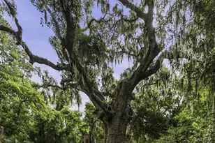 1 Inwood Plantation Dr, Beaufort, SC 29906 - Photo 63