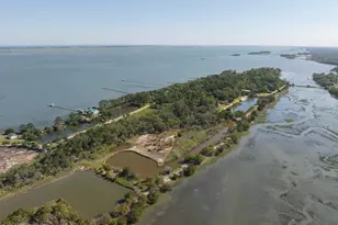 100 Little Horse Is Dr, Saint Helena Island, SC 29920 - Photo 3