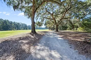 32 Bee Tree Dr, Okatie, SC 29909 - Photo 89