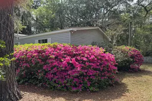 21 Mixon Rd, Saint Helena Island, SC 29920 - Photo 3