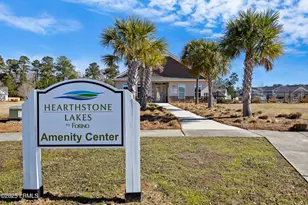 473 Ramport St, Hardeeville, SC 29936 - Photo 59
